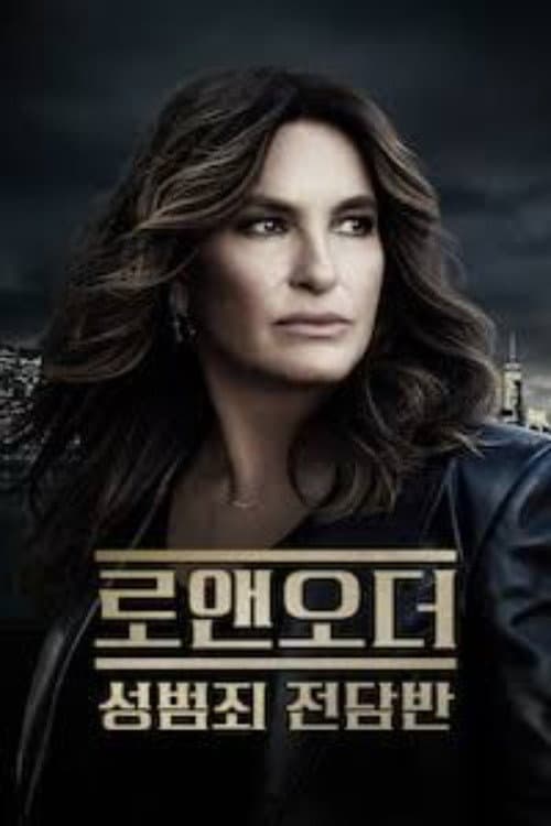로 앤 오더: 성범죄전담반 포스터